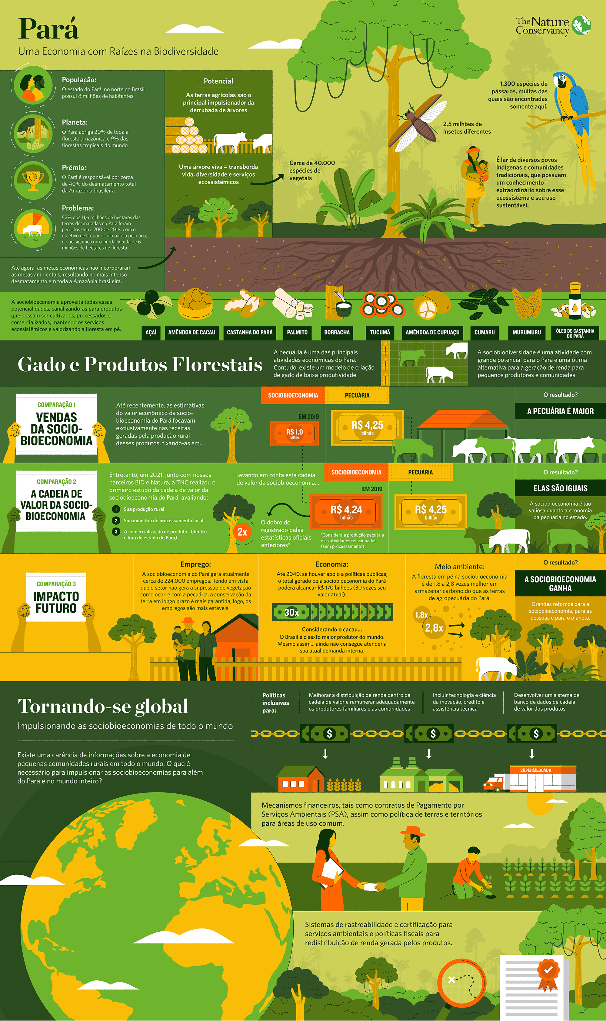 Thumbnail de um infográfico verde e amarelo