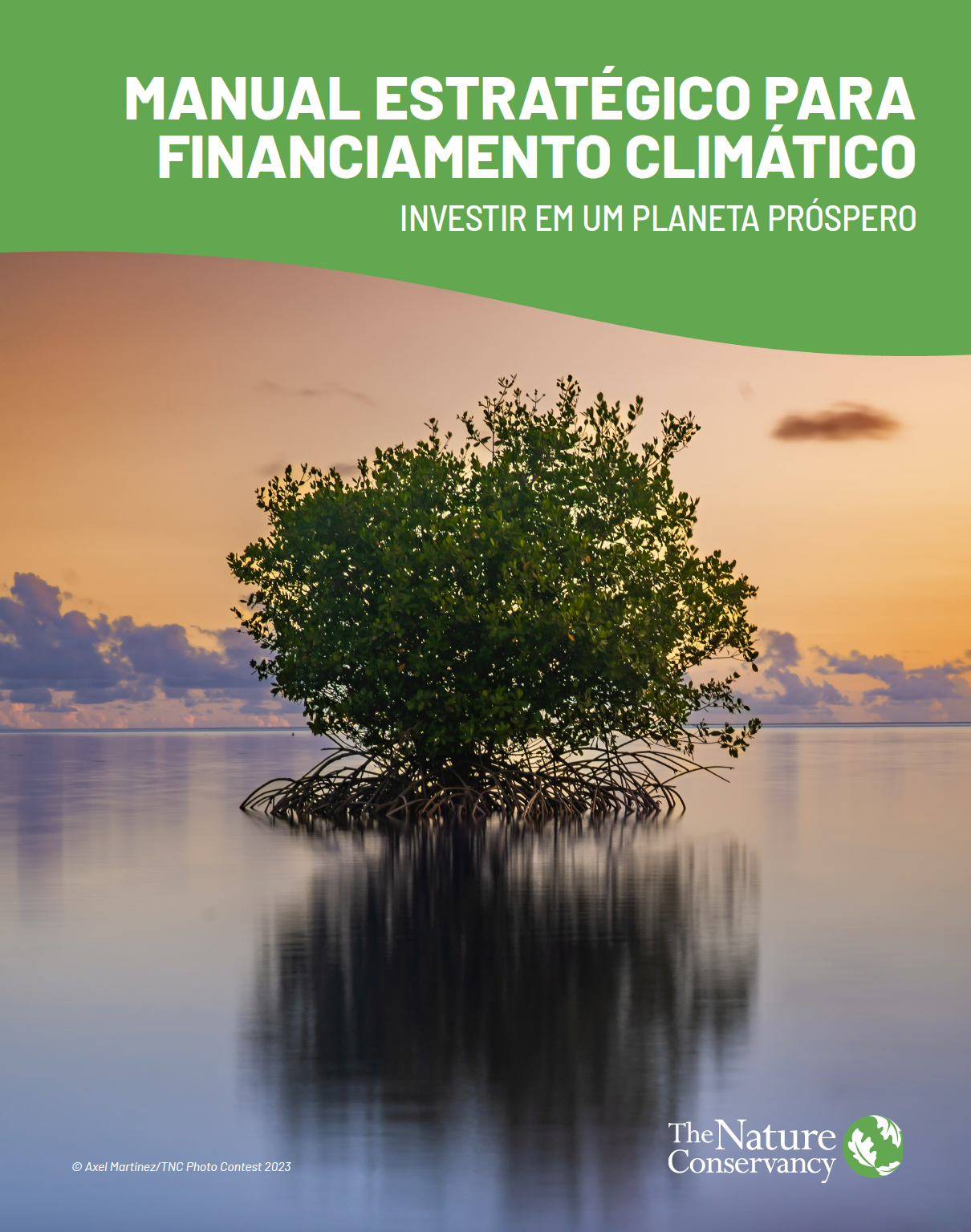 Cover of the Playbook for Climate Finance