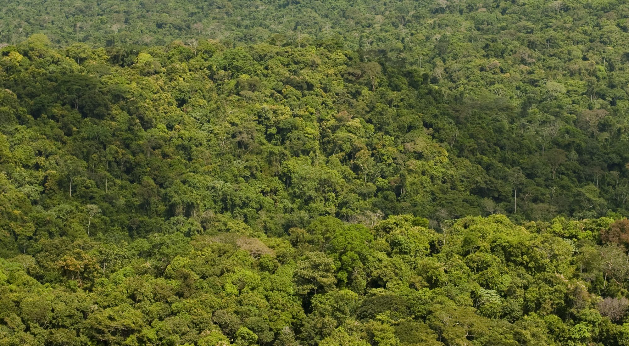 Visão aérea de São Félix do Xingu - PA.