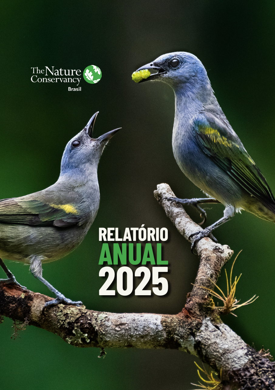 Capa do Relatório Anual 2025 da TNC Brasil