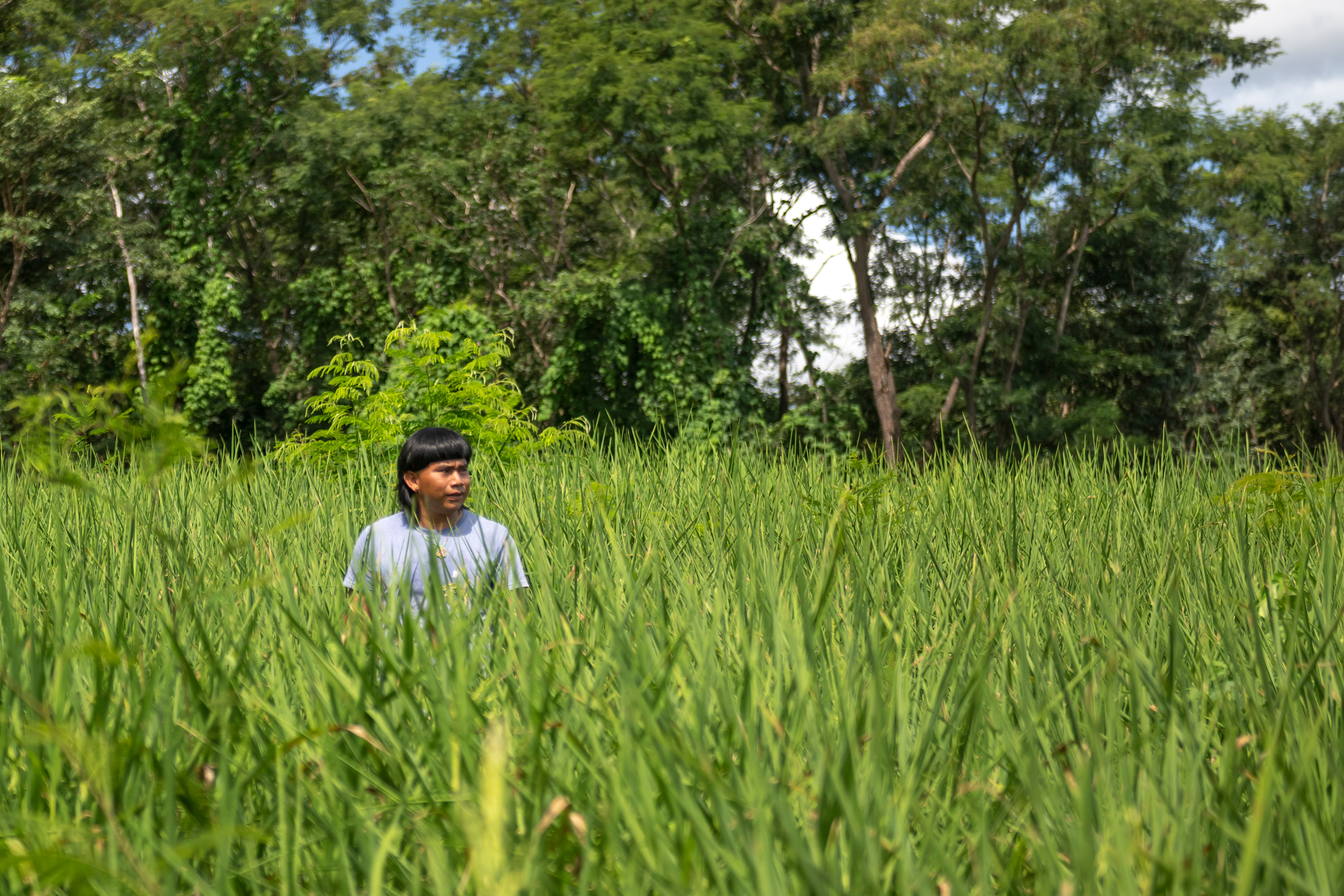 Indígena Xavante em área de plantio em Terra Indígena do Mato Grosso.