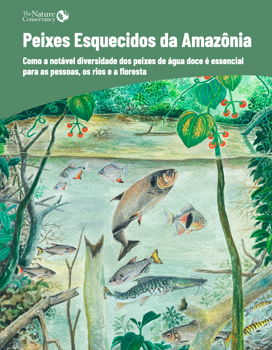 Capa com uma ilustração da fauna e da flora.