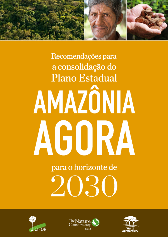 Recomendações para a consolidação do Plano Estadual Amazônia Agora para 2030.