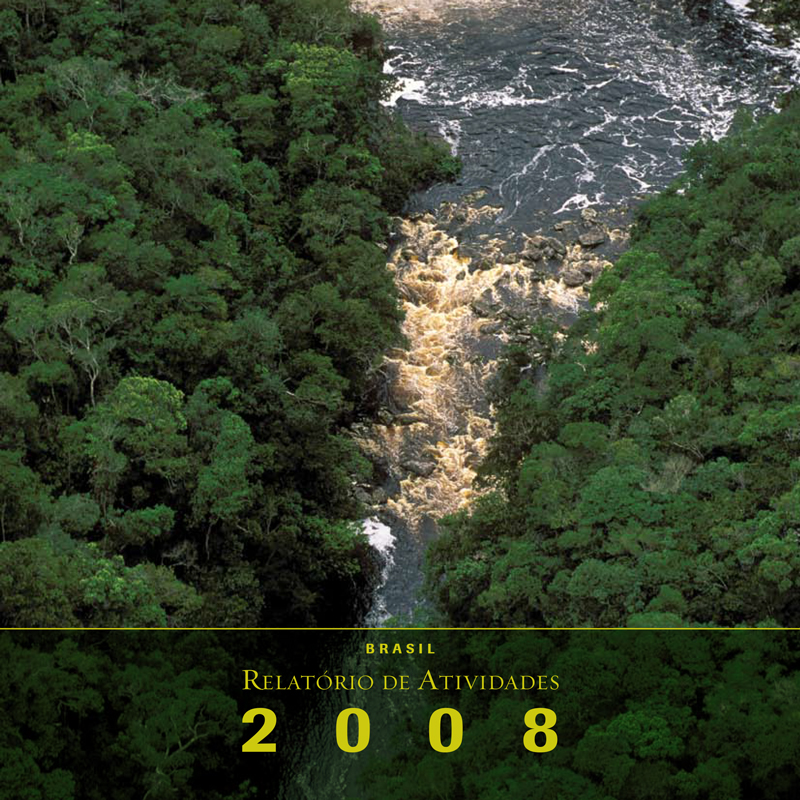 Relatório Anual 2008