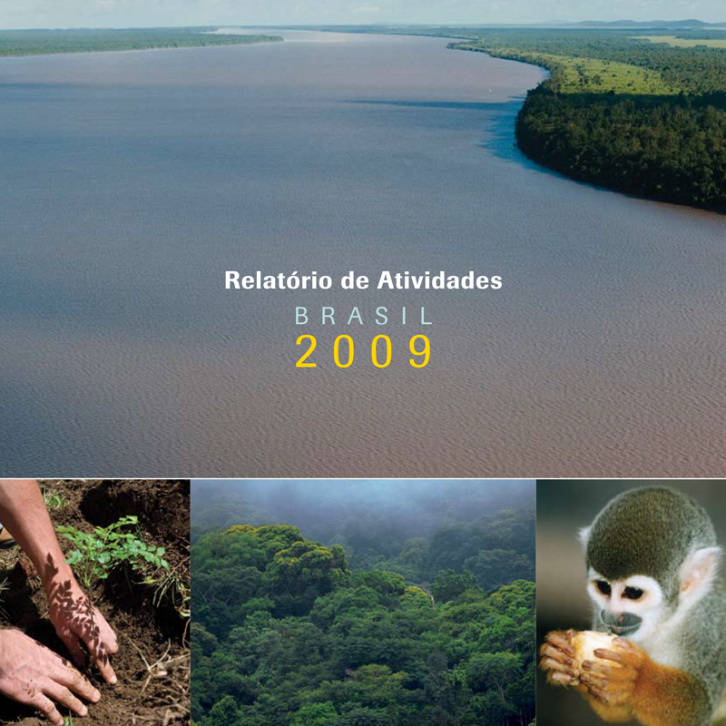 Relatório Anual 2009