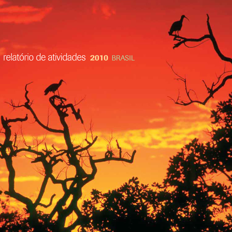 Relatório Anual 2010