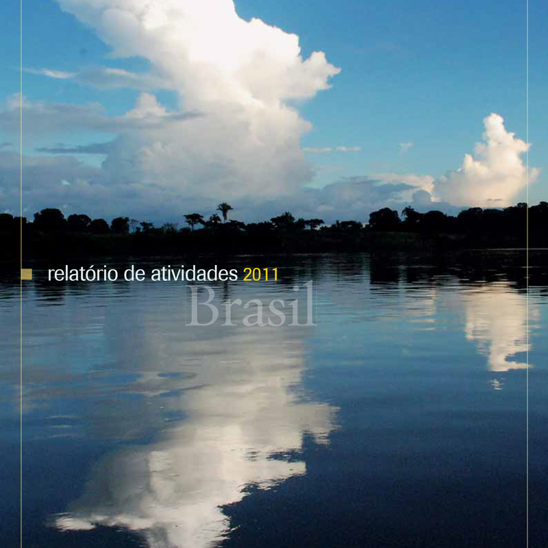 Relatório Anual 2011