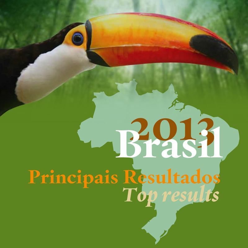 Relatório Anual 2013