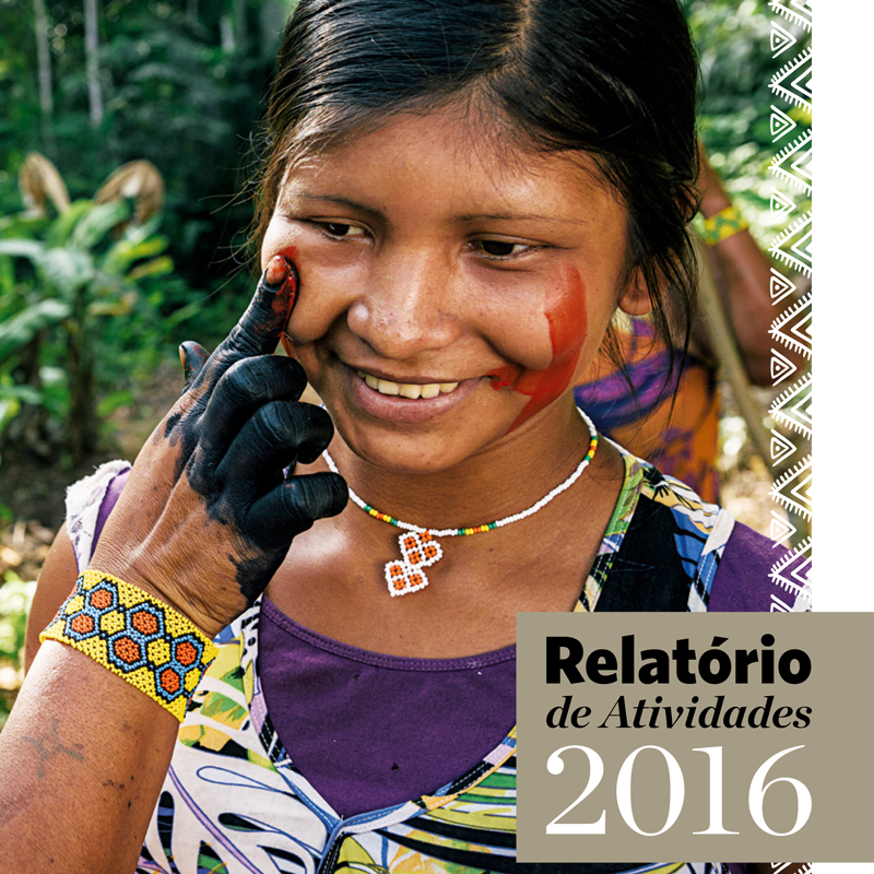 Relatório Anual 2016