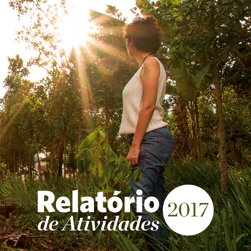 Relatório Anual 2017