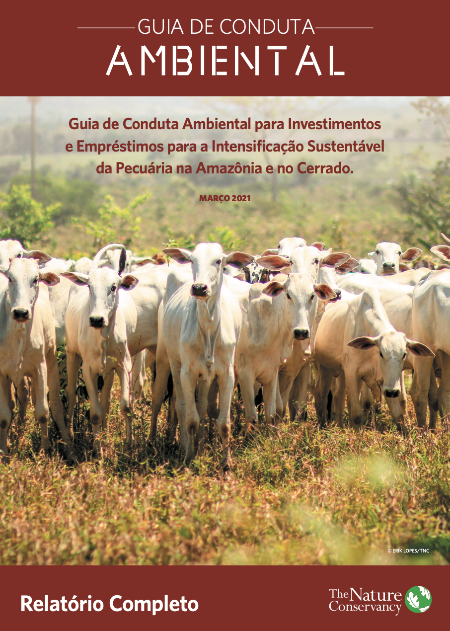 Relatório completo do Guia de Conduta Ambiental para investimentos em intensificação sustentável da pecuária na Amazônia e Cerrado.