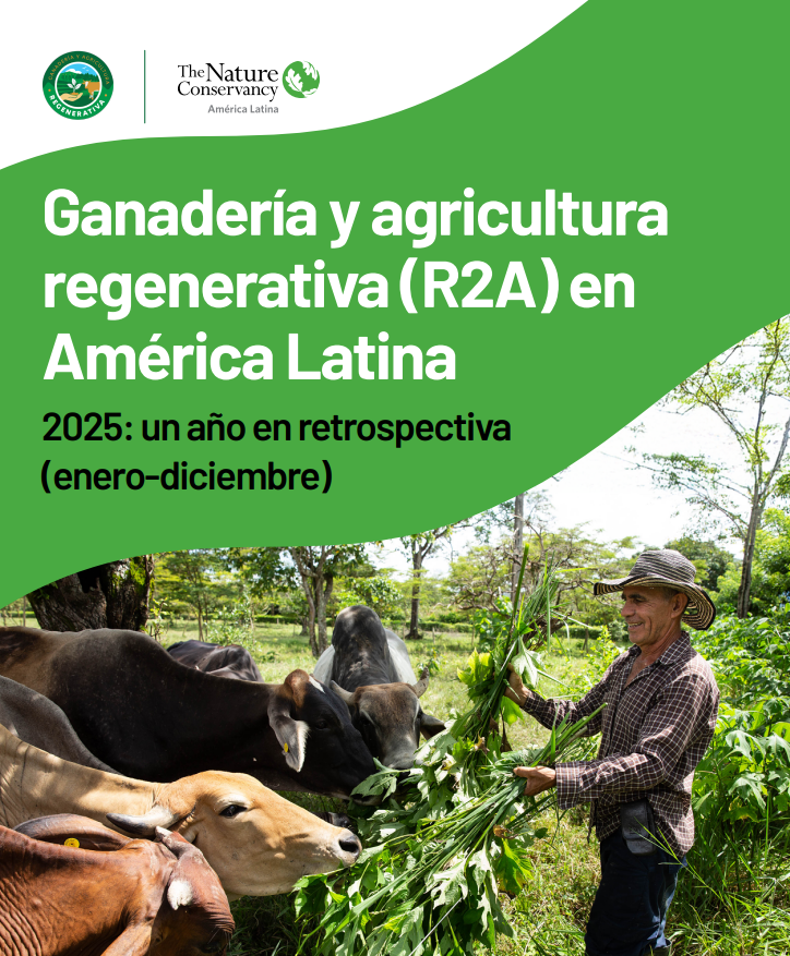 Representação visual das práticas de agricultura regenerativa na América Latina, destacando as técnicas agrícolas sustentáveis.